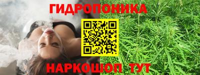 ешки Моздок