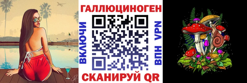 Псилоцибиновые грибы Magic Shrooms  блэк спрут   Волхов  купить  