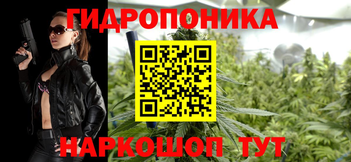 Бошки Шишки Волхов